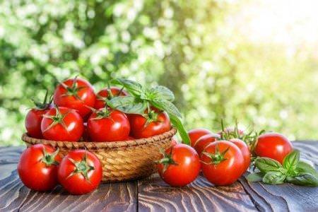 Низькорослі томати: кращі сорти з фото та назвами (каталог)