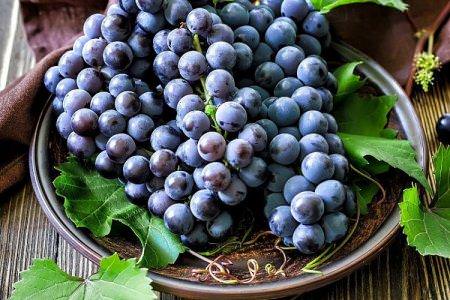 Сорти винограду без кісточок: фото, назви та описи (каталог)