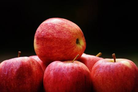 Найкращі сорти яблук для Підмосков'я: фото, назви та описи ( каталог)