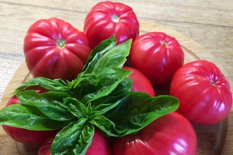 Урожайний розмарин - Високоврожайні сорти томатів для відкритого ґрунту