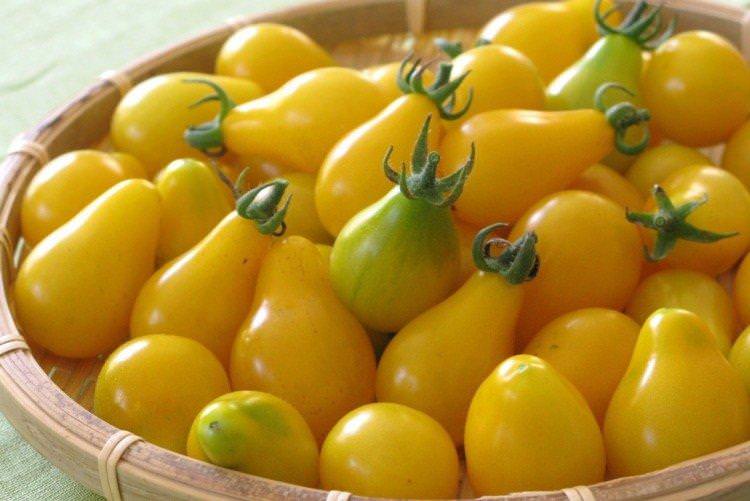 Білий мускат - Високоврожайні сорти томатів чері