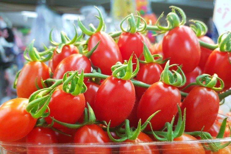 Каприз - Сорти томатів чері для відкритого ґрунту