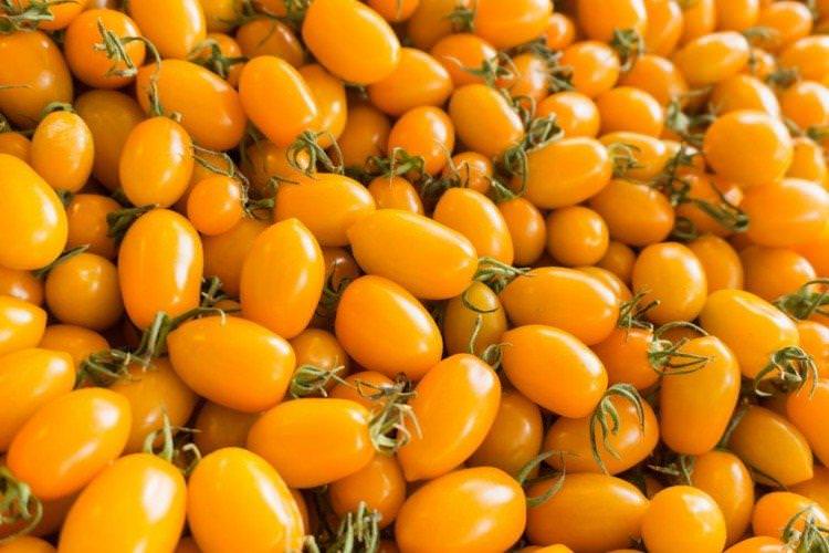 Медова цукерка - Найкращі сорти томатів чері для Уралу та Сибіру