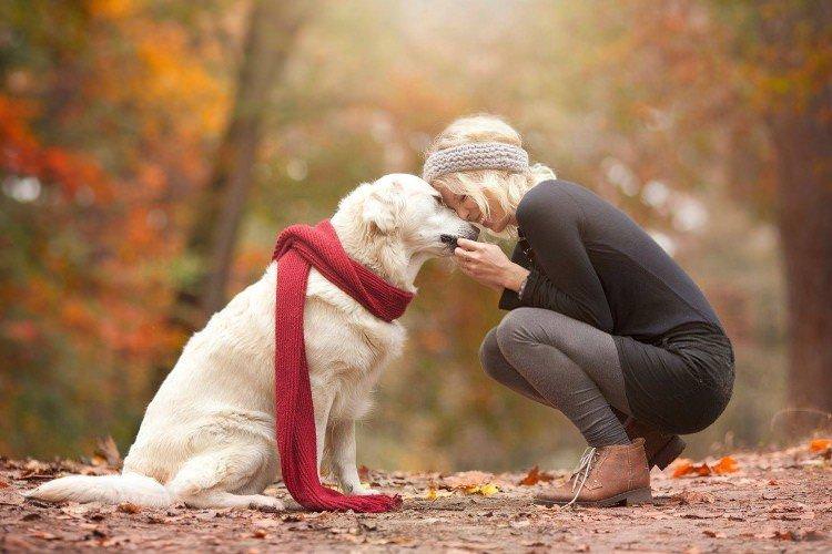 Любов та увага - Скільки живуть собаки