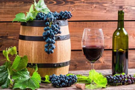 Найкращі сорти винограду для вина: фото, назви та описи ( каталог)