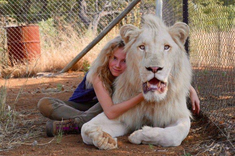 Міа та білий лев - Найкращі фільми про подорожі