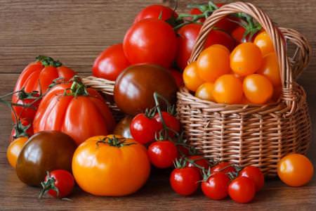 Найкращі сорти томатів для Підмосков'я: фото, назви та описи ( каталог)