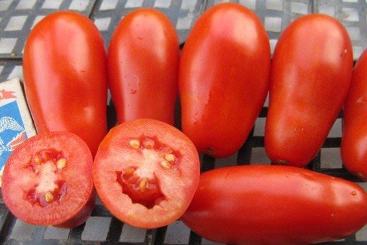 Французький гроздовий - Середні та пізні сорти томатів для теплиць