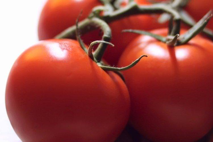Диво ринку - Середні та пізні сорти томатів для теплиць