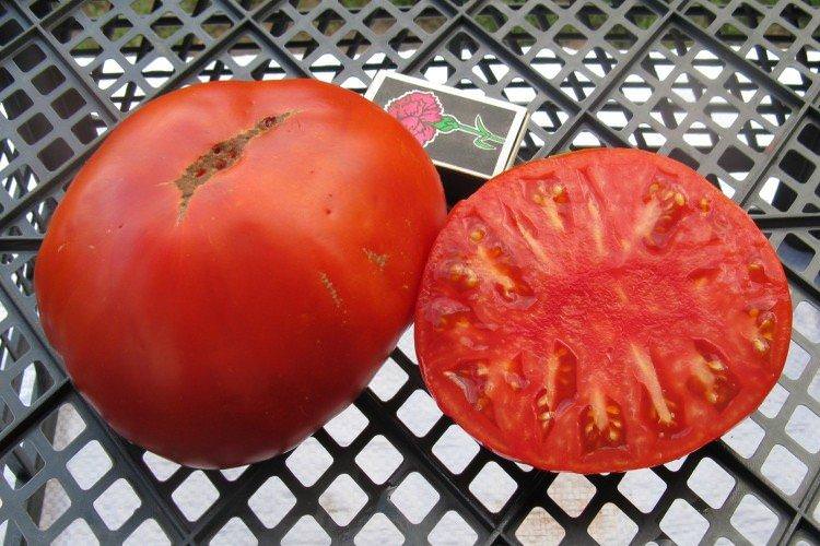 Король королів - Великоплідні сорти томатів для теплиці