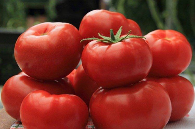 Велика матуся - Ранні сорти томатів