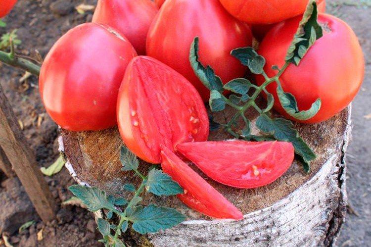 Вельможа - Середньостиглі сорти томатів