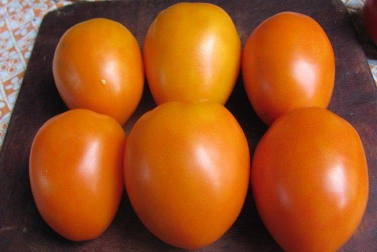 Золоті куполи - Середньостиглі сорти томатів