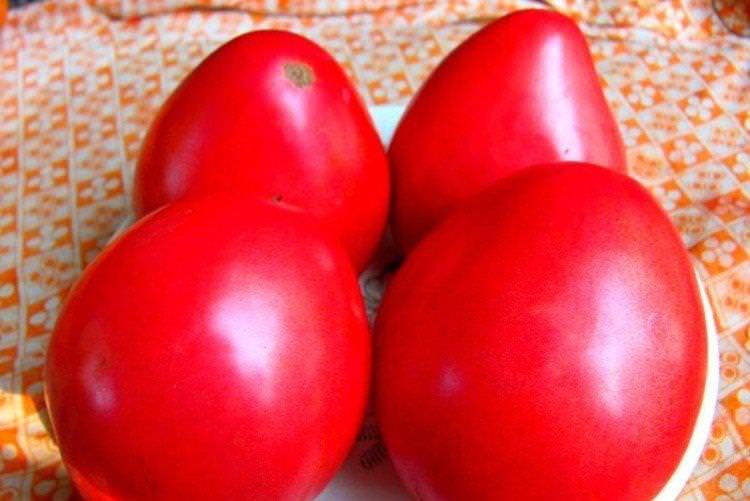 Пудовик - Середньостиглі сорти томатів