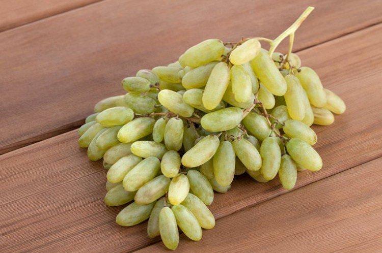 Дамські пальчики - Сорти винограду середнього терміну дозрівання