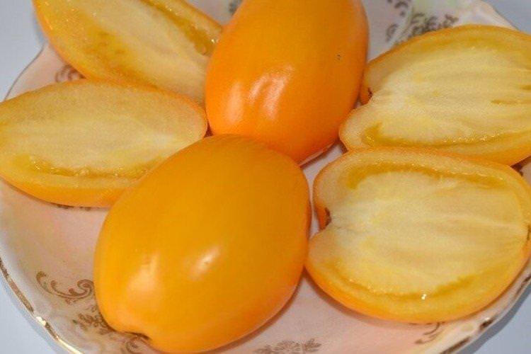 Буян жовтий - Низькорослі сорти томатів
