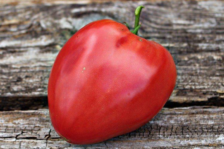 Кардинал - Високорослі сорти томатів