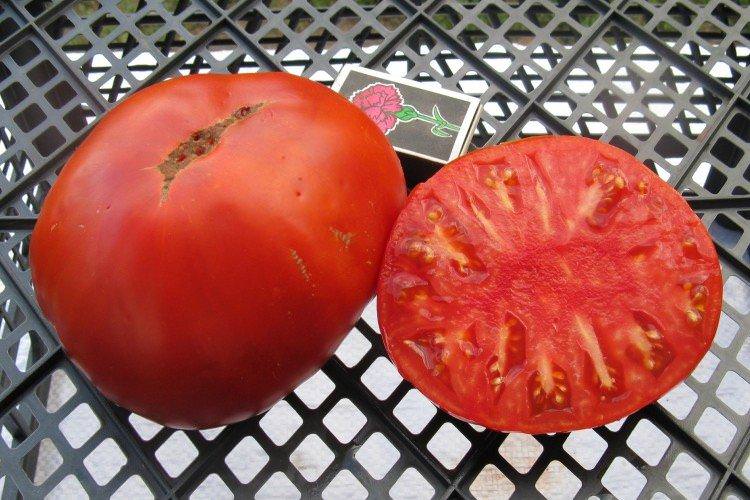 Король гігантів - Найкращі сорти томатів для теплиць