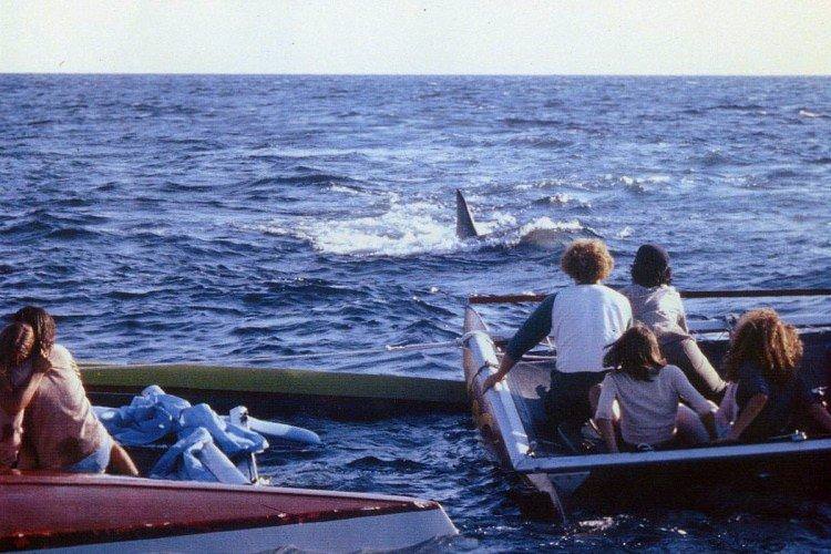 Щелепи 2 - Найкращі фільми про акул