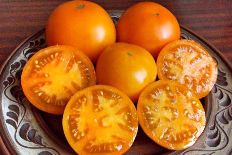Хурма - Найкращі сорти томатів для відкритого ґрунту