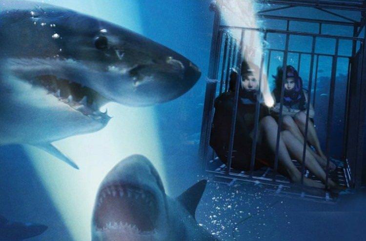 Синя безодня - Найкращі фільми про акул