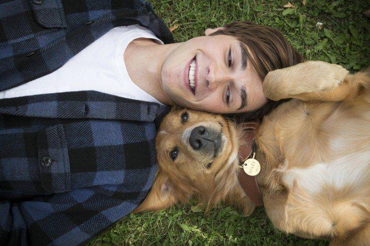 Собаче життя - найкращі фільми про собак