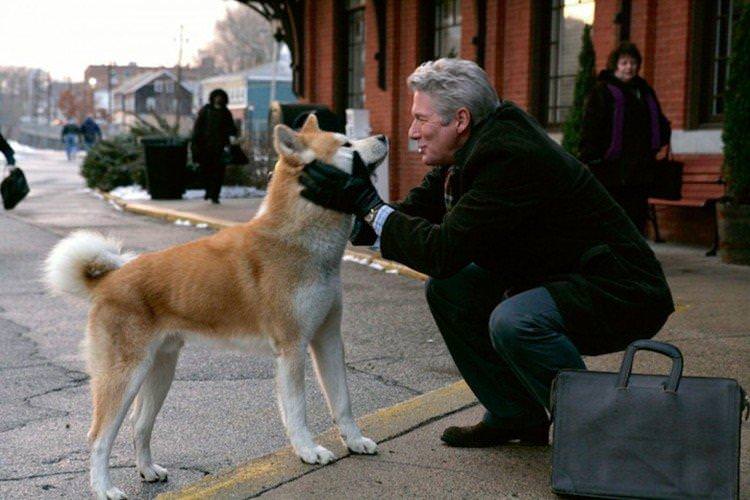 Хатико Найвірніший друг - найкращі фільми про собак