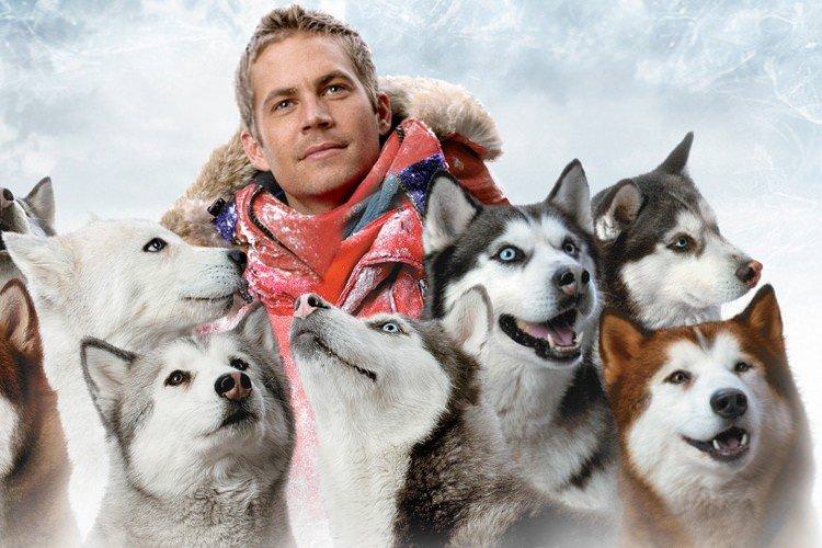 Білий полон - найкращі фільми про собак