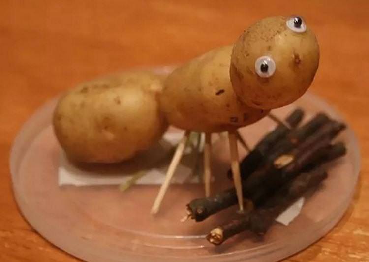 Картопляна мураха - Вироби з овочів для дитячого садка