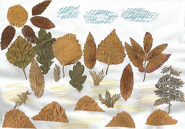 Вироби з осіннього листя для дітей - фото та ідеї