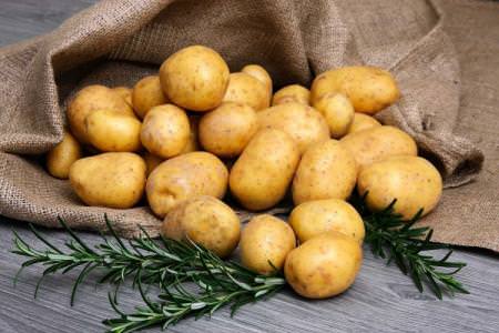 Найкращі сорти картоплі: фото, назви та описи (каталог)