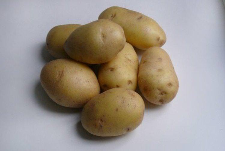 Артеміс - Ранні сорти картоплі
