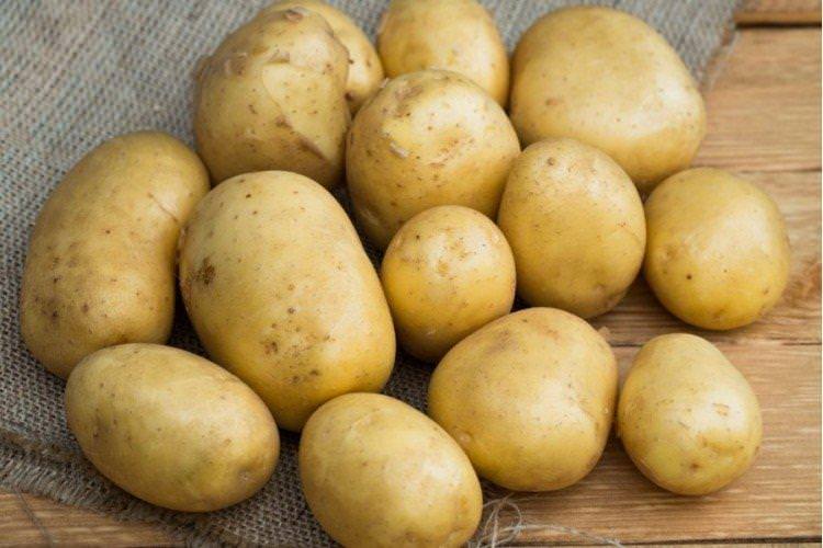 Метеор - Ранні сорти картоплі