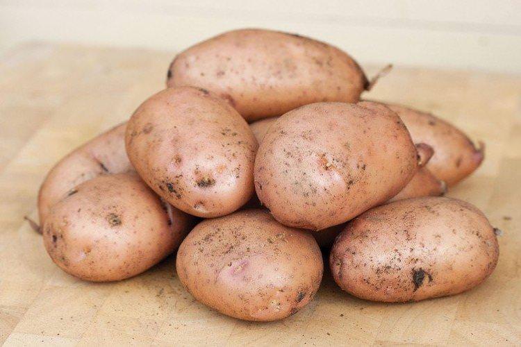 Жуковський ранній - Ранні сорти картоплі