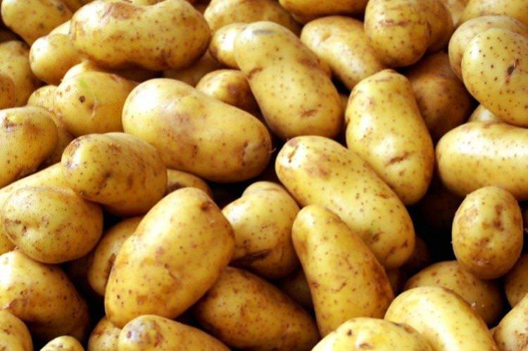 Каратоп - Середньостиглі сорти картоплі