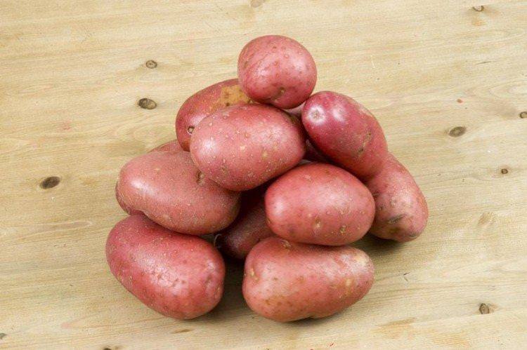 Журавінка - Пізні сорти картоплі