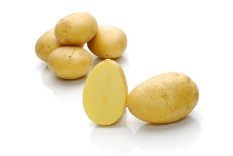Зекура - Найкращі сорти картоплі для Сибіру