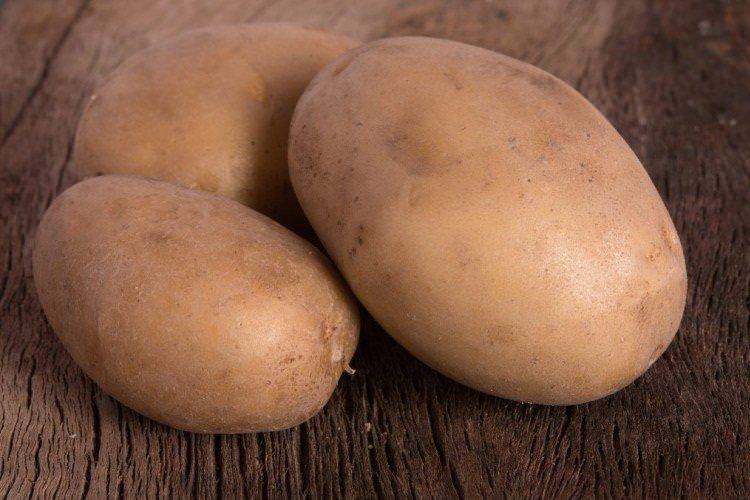 Вектор - Білоруські сорти картоплі