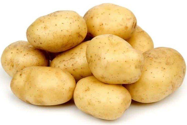 Волат - Білоруські сорти картоплі
