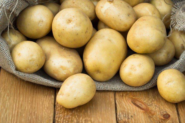 Скарб - Білоруські сорти картоплі