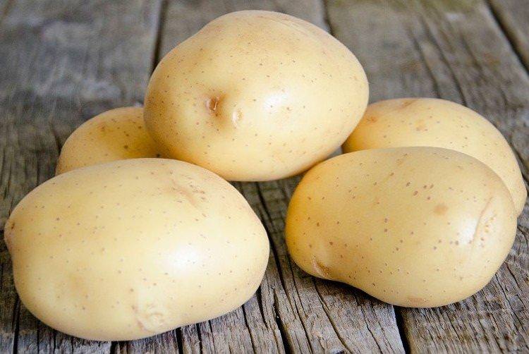 Коннект - Голландські сорти картоплі