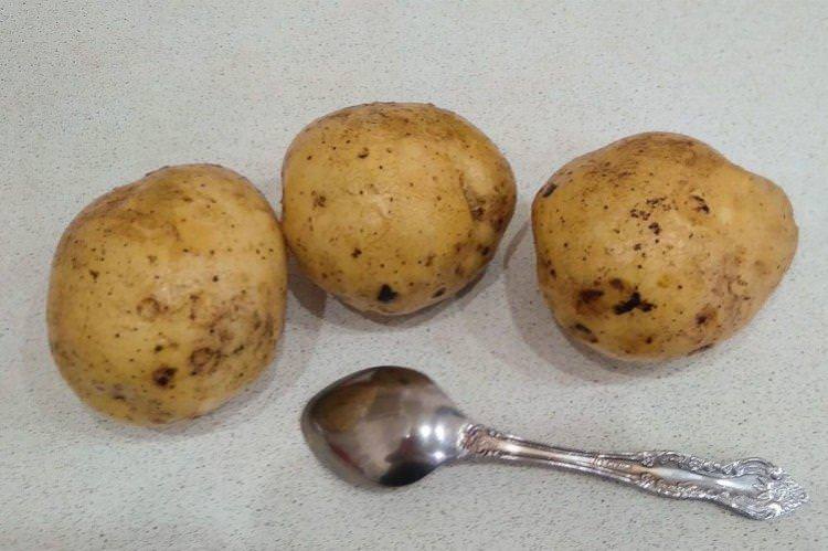  Лаперла - Німецькі сорти картоплі