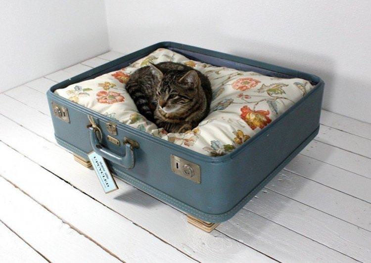 Лежанка для кішки зі старої валізи своїми руками