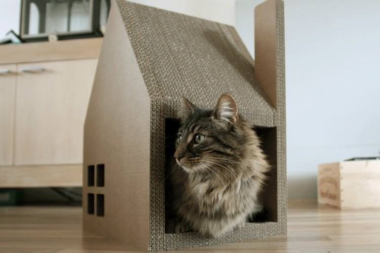 Будиночок для кішки своїми руками - фото та ідеї