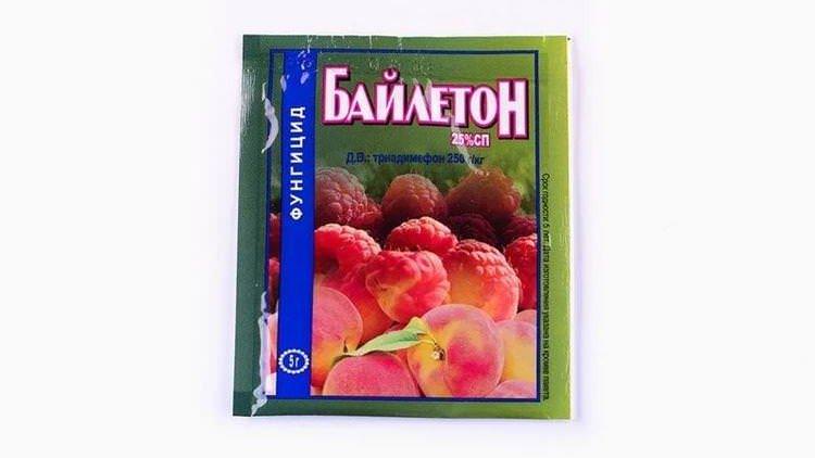 Байлетон - Обробка смородини від борошнистої роси