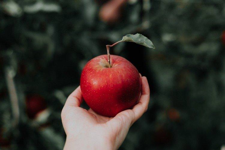 Яблука - Як позбутися запаху з рота