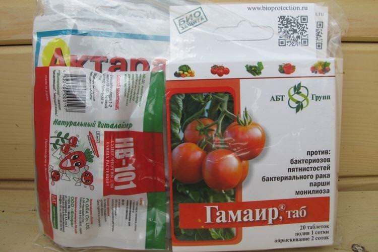 Гамаїр - Чим обробити помідори від фітофтори