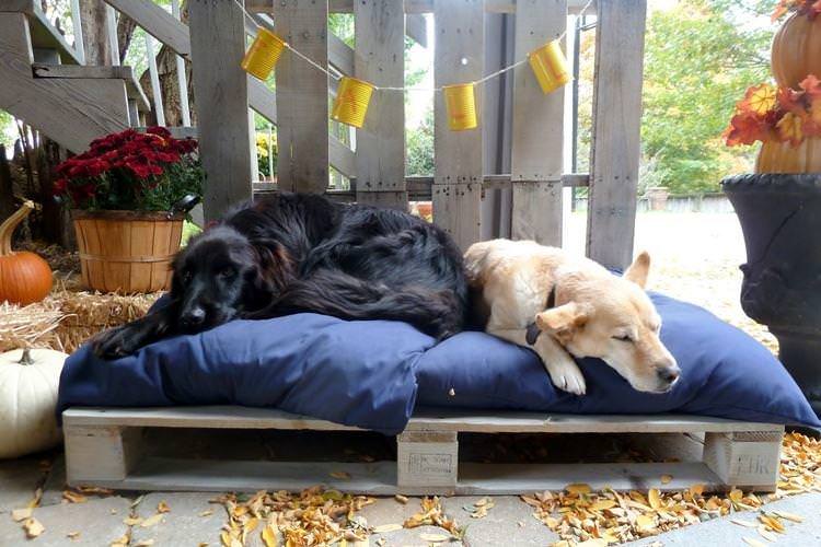 Лежанка для собаки - Садові меблі з піддонів для дачі фото