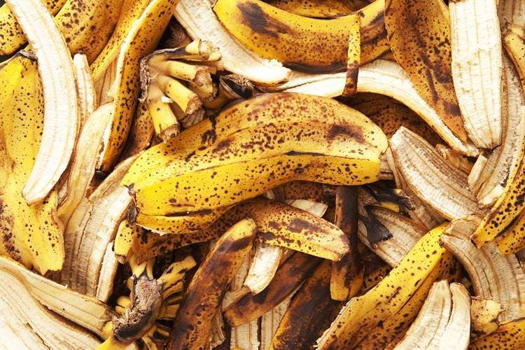 Бананова шкірка - Чим підгодувати смородину навесні