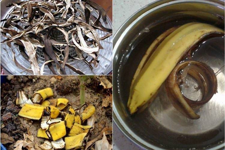 Підживка банановою шкіркою - Чим підгодувати малину навесні